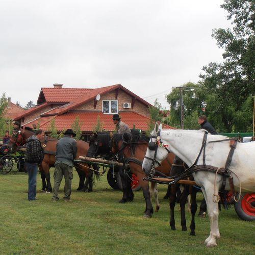 Appartamento Pálya Vendégház Pusztaszer Esterno foto